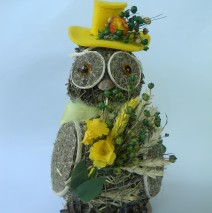 Kleine Eule